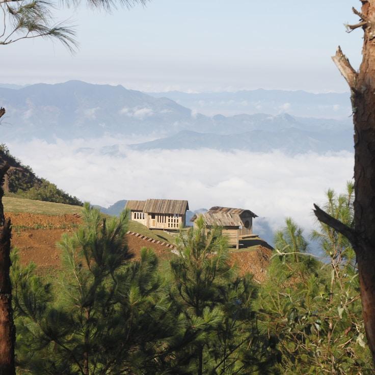 Family terraces and cafés for calm evenings in New York